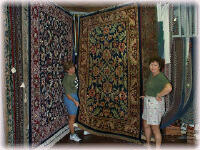 Pic 2 of Capel Rugs